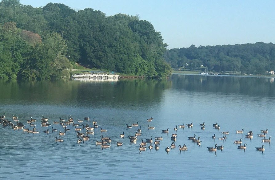 Guilford Lake State Park, Ohio, USA